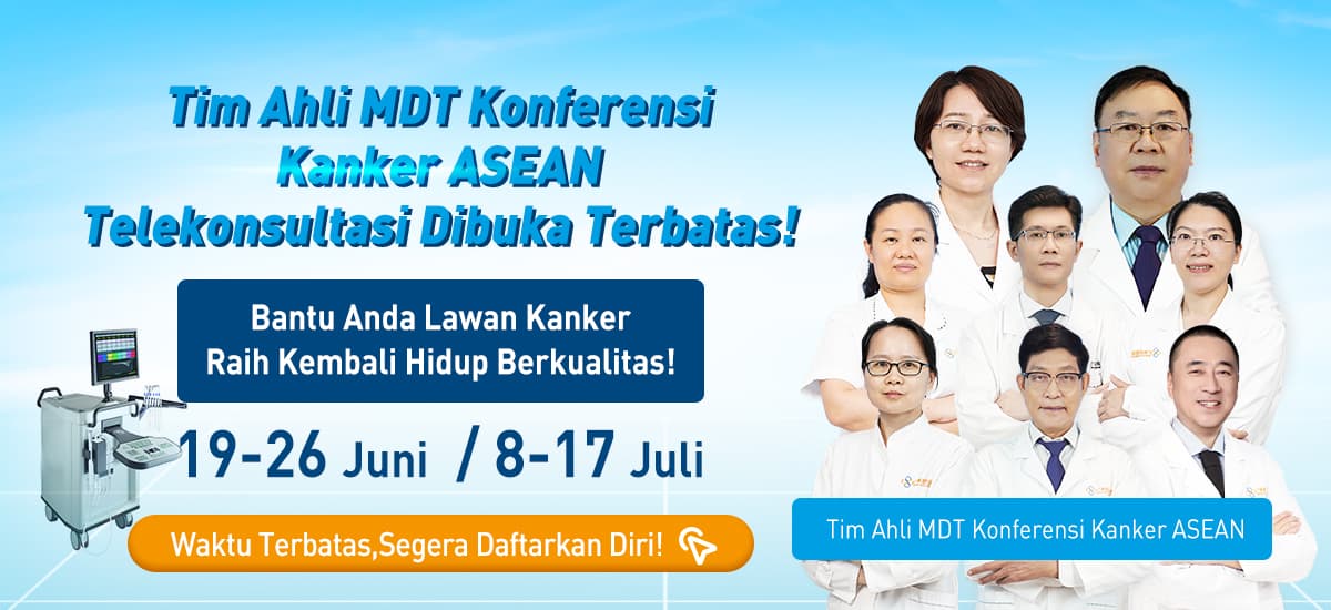 Zona Reservasi Konsultasi Tatap Muka dengan Pakar ASEAN